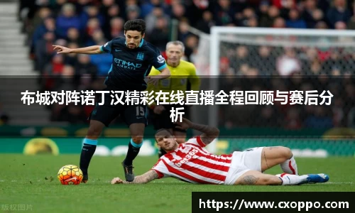 布城对阵诺丁汉精彩在线直播全程回顾与赛后分析